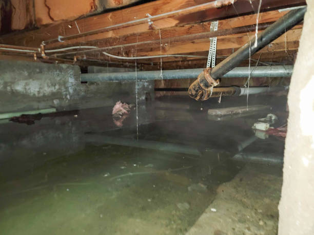 Best Fire Damage Restoration  in Bakerstown, PA