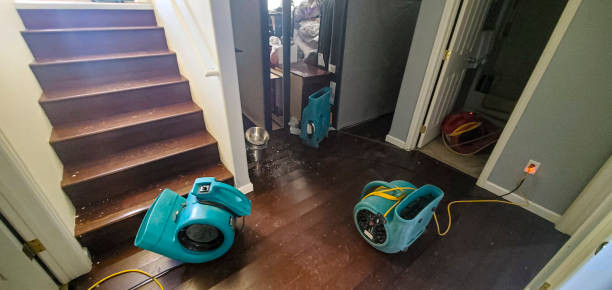 Best Local water damage restoration  in Bakerstown, PA