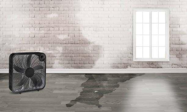 Best Water damage restoration near me  in Bakerstown, PA
