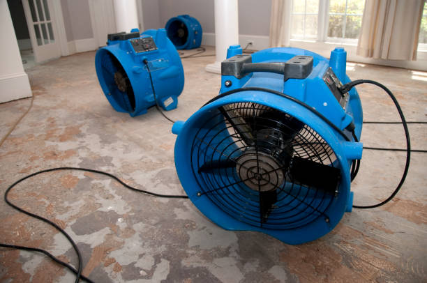 Best Water damage restoration services  in Bakerstown, PA